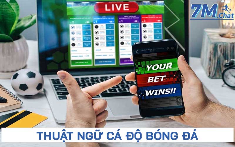 Thuật ngữ cá độ bóng đá - Từ nóng chỉ cá cược trực tuyến